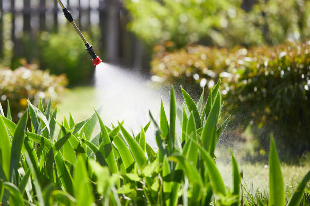 Void Injection for Cockroach Colonies in Lake Dallas